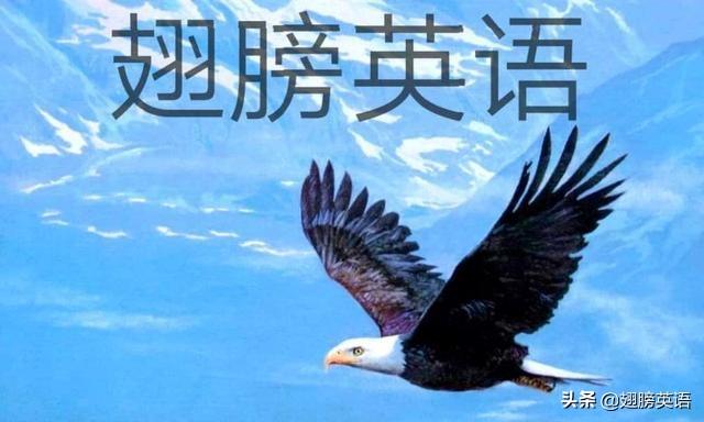 除了Sorry,道歉的多样表达方式