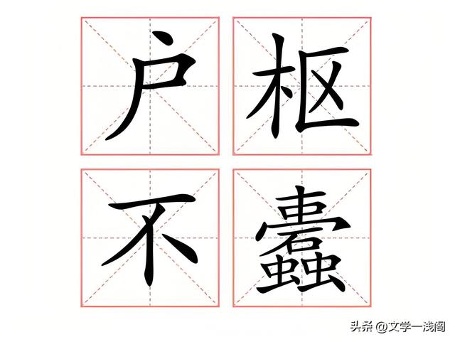 蠹字正确读音及户枢不蠹含义解析